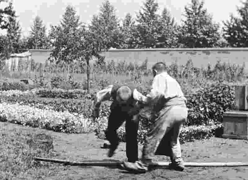 The Waterer Watered (1895) Screenshot 1