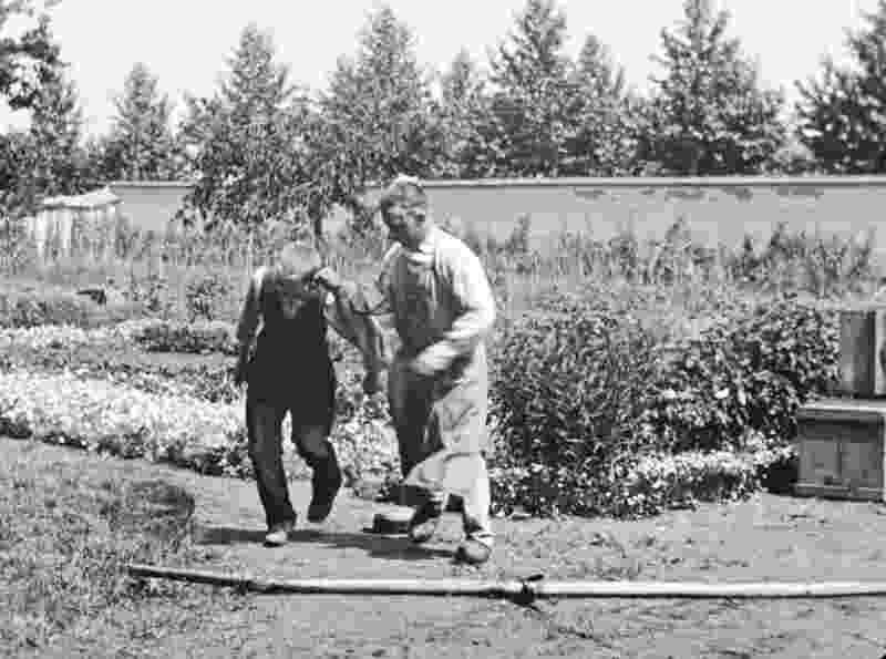 The Waterer Watered (1895) Screenshot 2