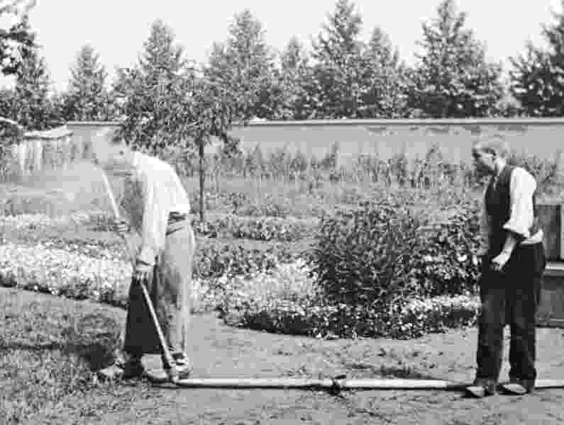 The Waterer Watered (1895) Screenshot 3