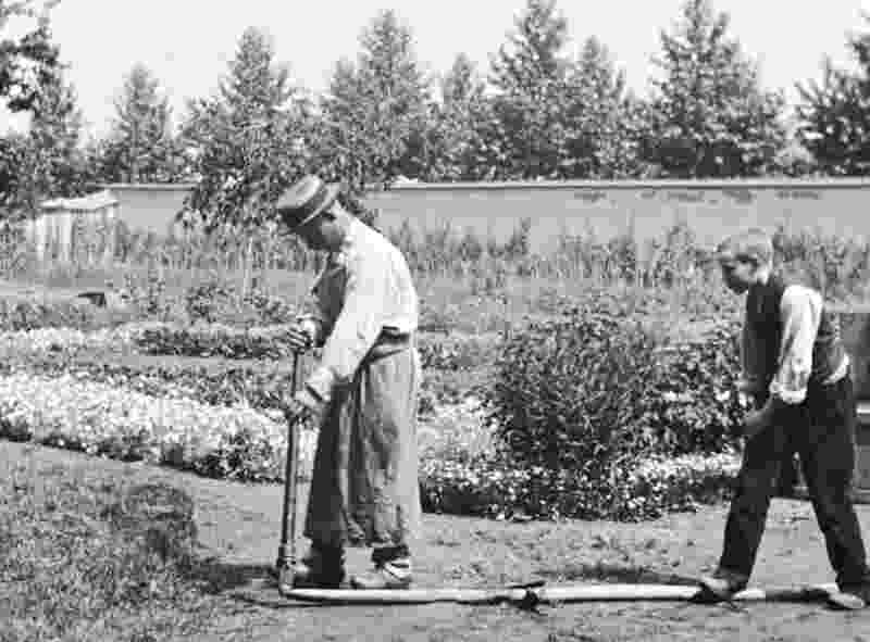 The Waterer Watered (1895) Screenshot 4