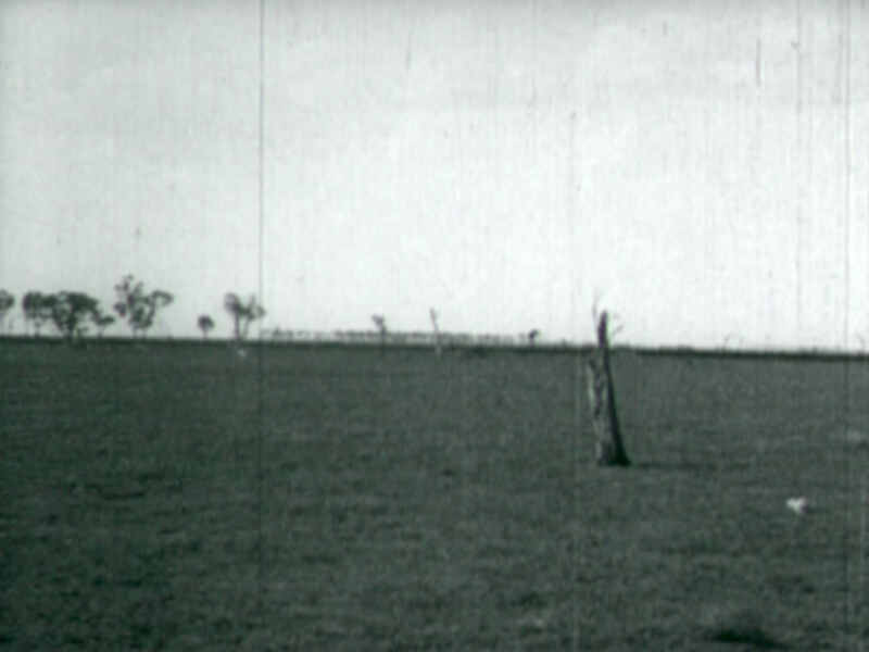 The Breaking of the Drought (1920) Screenshot 1