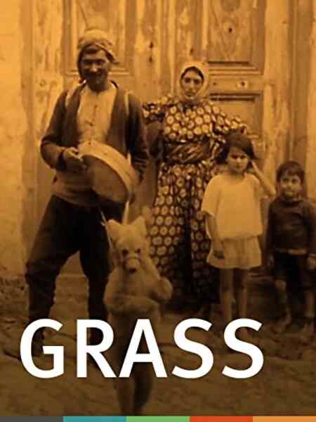 Grass: A Nation's Battle for Life (1925) with English Subtitles on DVD on DVD