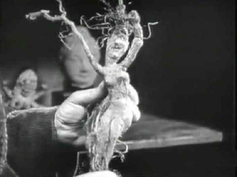 A Daughter of Destiny (1928) Screenshot 4