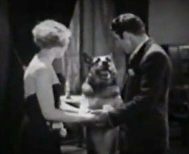 The Return of Boston Blackie (1927) Screenshot 1