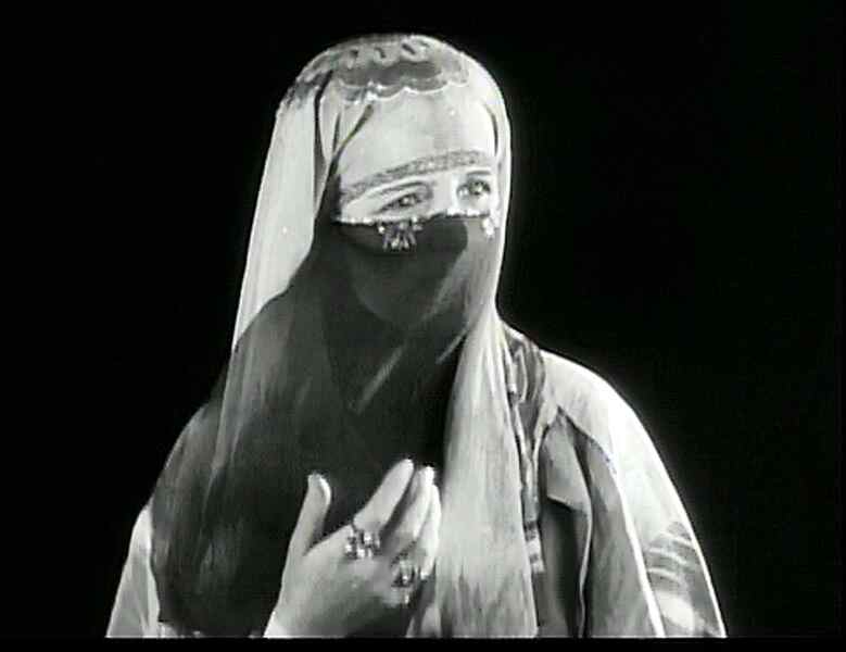 Two Arabian Knights (1927) Screenshot 3