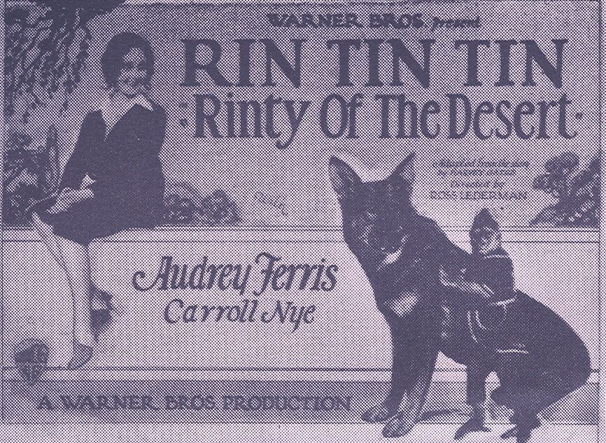 Rinty of the Desert (1928) Screenshot 2