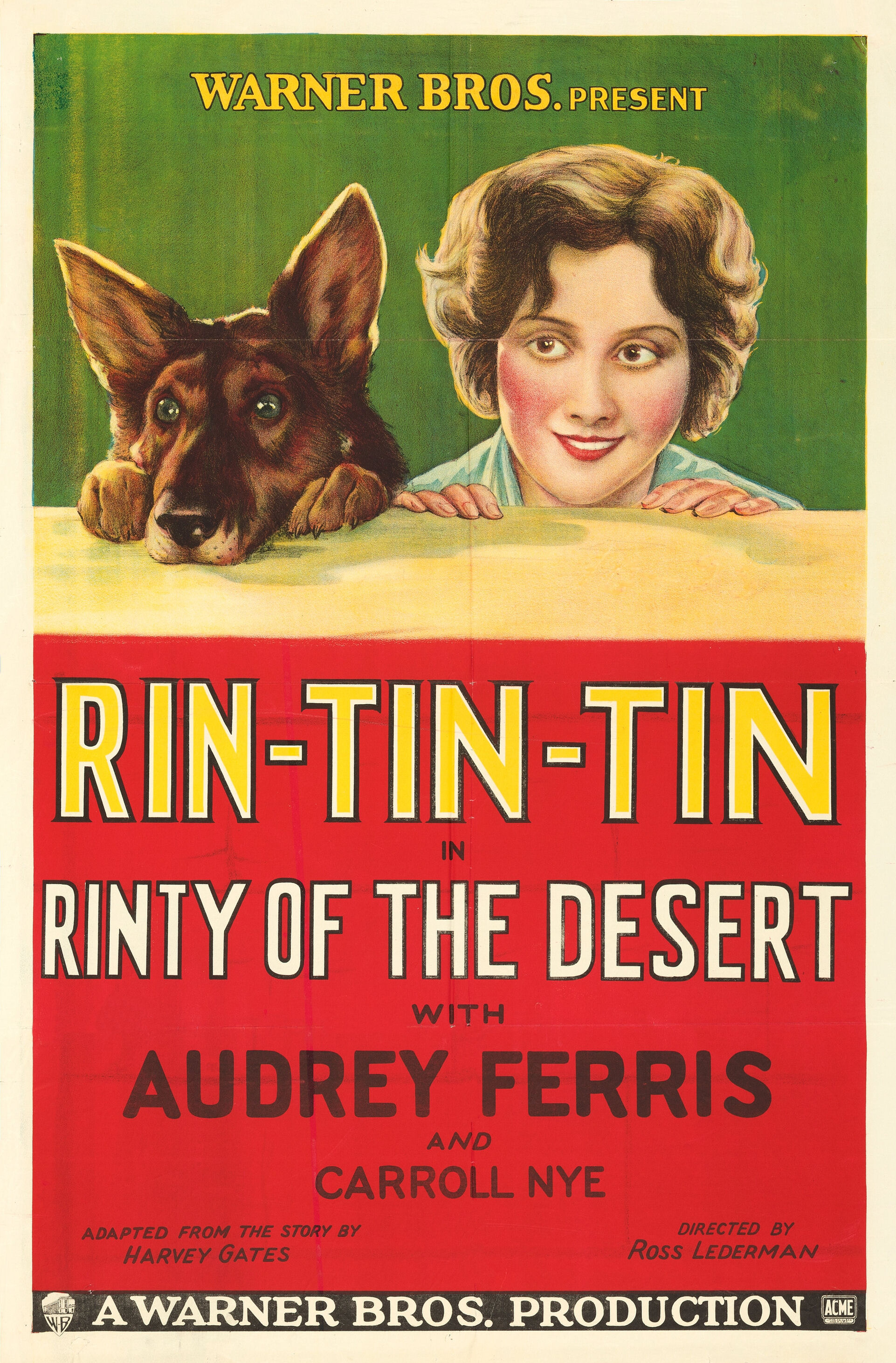 Rinty of the Desert (1928) starring Rin Tin Tin on DVD on DVD