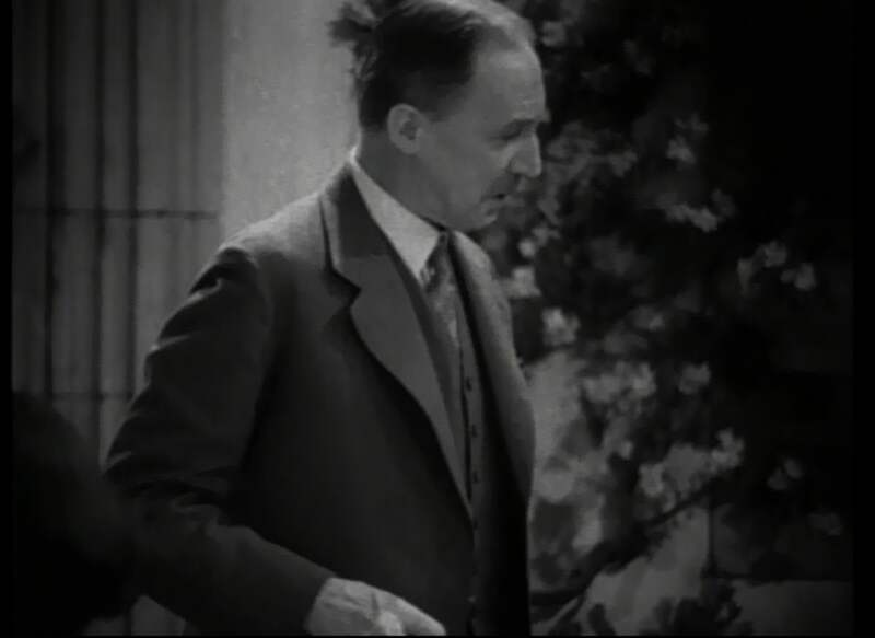 The Last of Mrs. Cheyney (1929) starring Norma Shearer on DVD DVD The Last of Mrs. Cheyney (1929) Screenshot 3