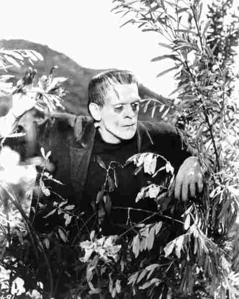 Frankenstein (1931) Screenshot 2
