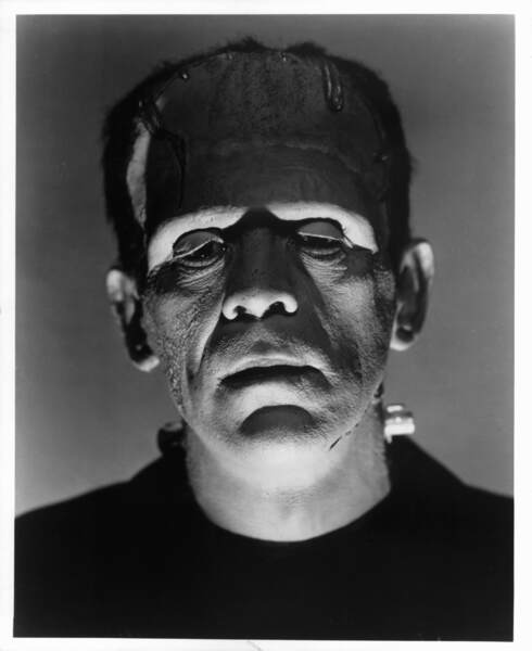 Frankenstein (1931) Screenshot 4