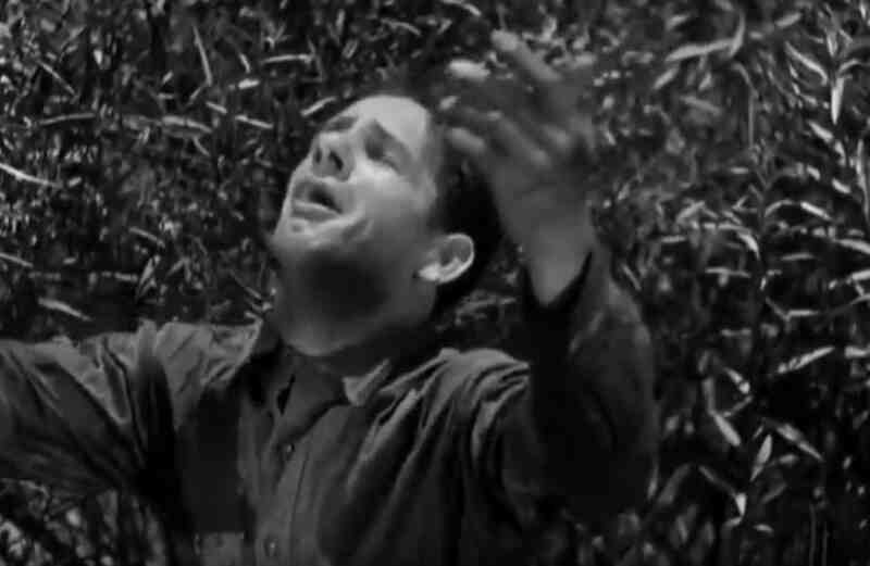Hell's Highway (1932) starring Richard Dix on DVD DVD Hell's Highway (1932) Screenshot 1