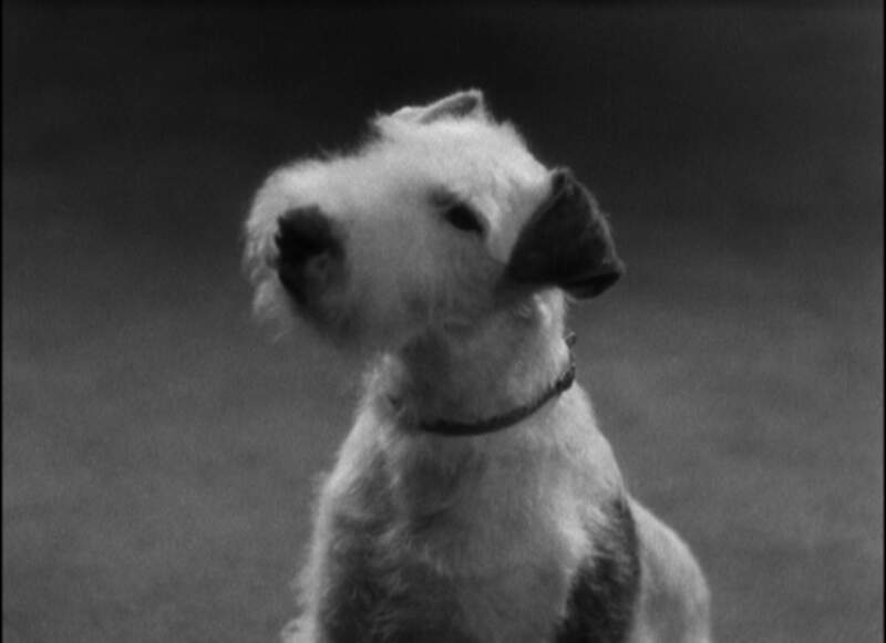 Merrily We Go to Hell (1932) Screenshot 5