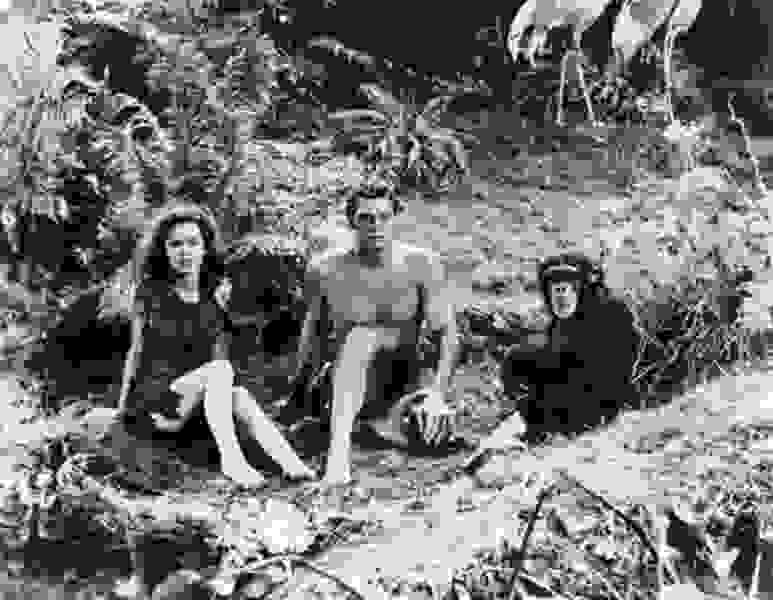 Tarzan the Ape Man (1932) Screenshot 5
