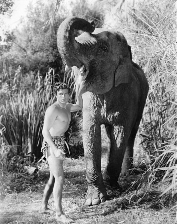 Tarzan the Fearless (1933) Screenshot 1 