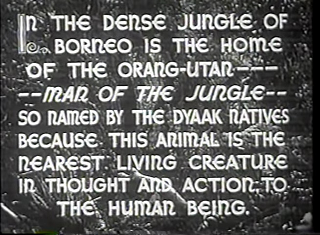 The Beast of Borneo (1934) Screenshot 3