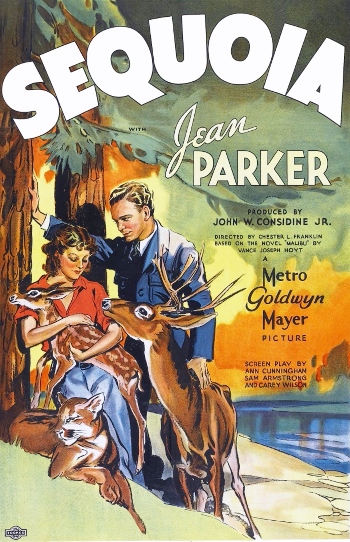 Sequoia (1934) starring Jean Parker on DVD on DVD