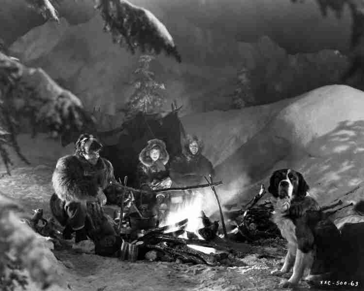 Call of the Wild (1935) Screenshot 3
