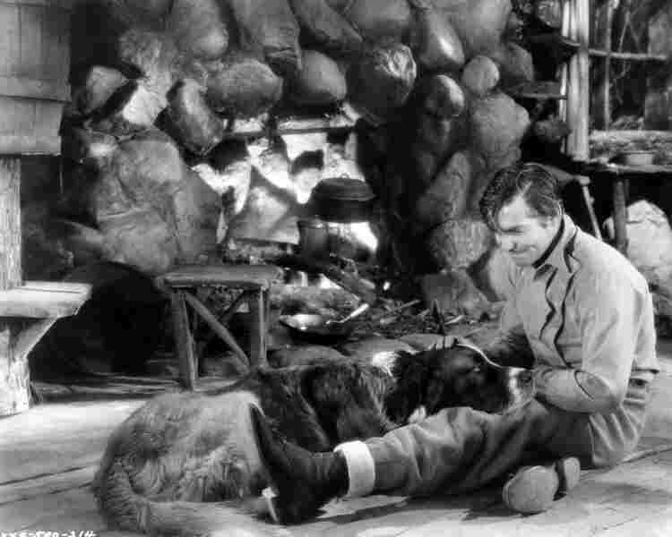Call of the Wild (1935) Screenshot 5