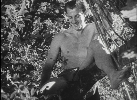 The New Adventures of Tarzan (1935) Screenshot 4