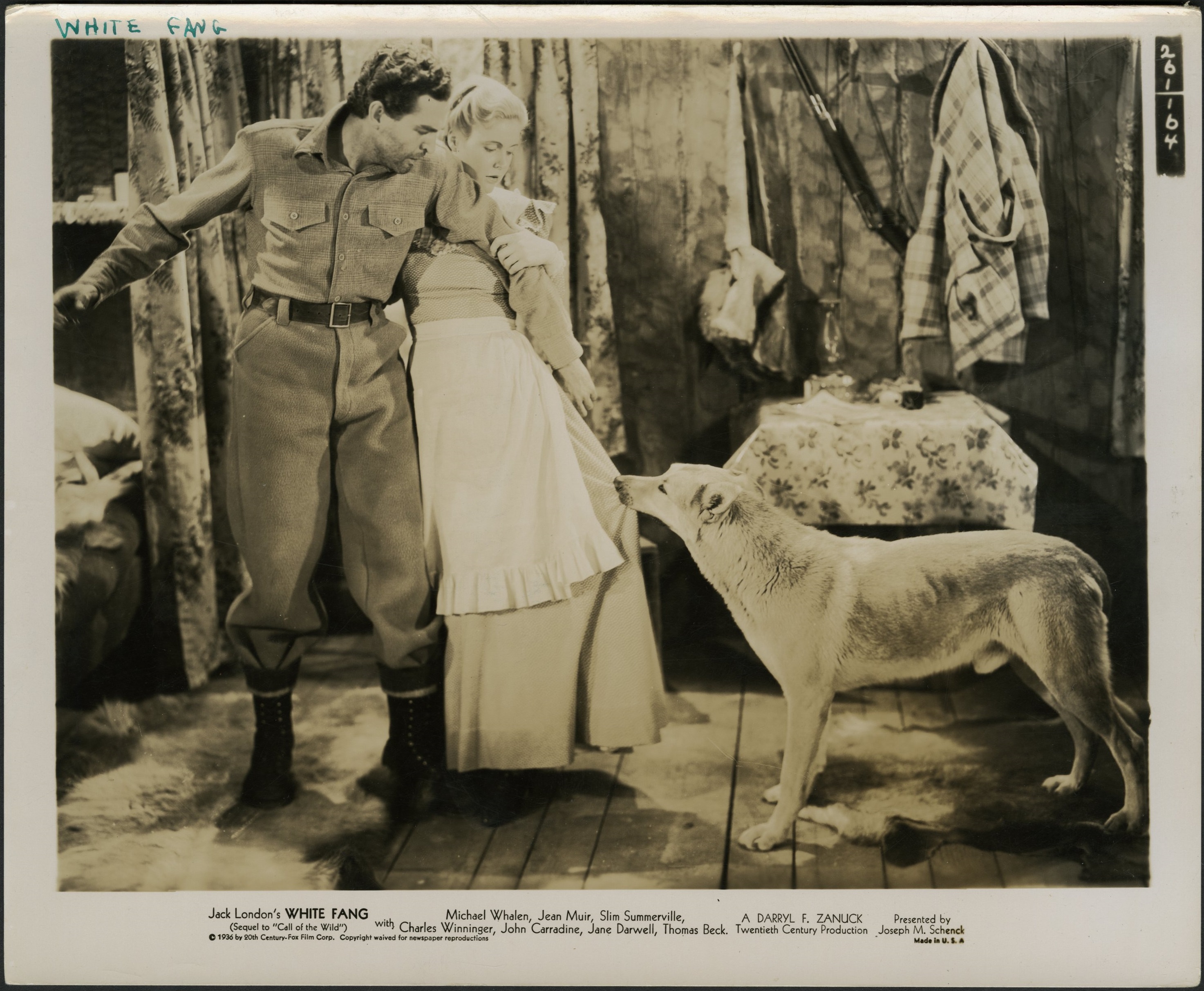 White Fang (1936) Screenshot 1