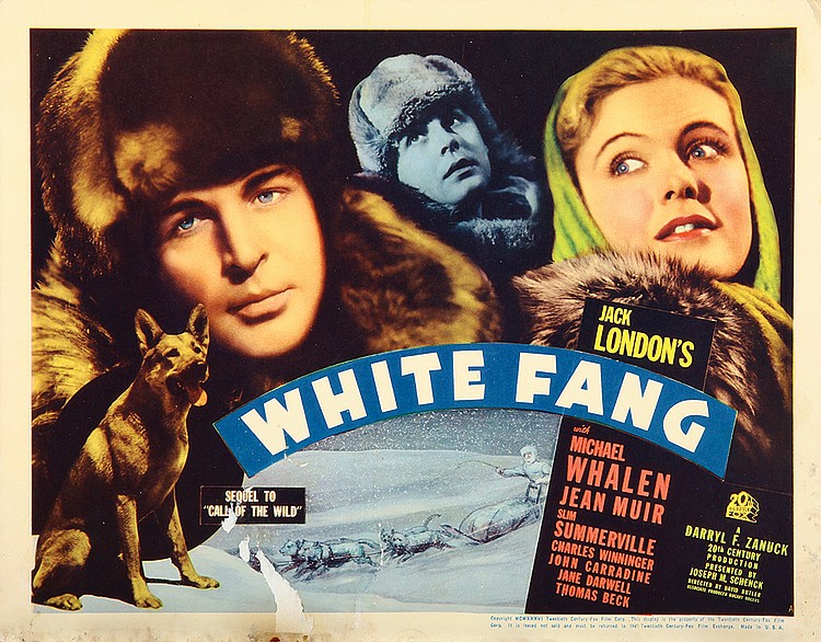 White Fang (1936) Screenshot 4