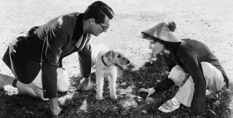 Bringing Up Baby (1938) Screenshot 2