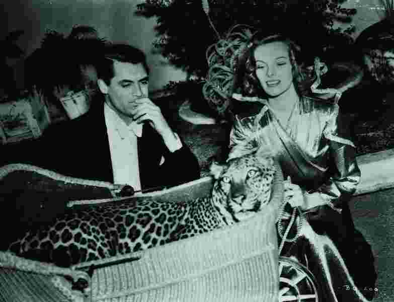 Bringing Up Baby (1938) Screenshot 3