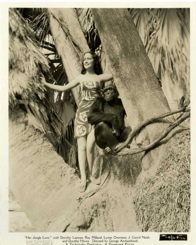 Her Jungle Love (1938) Screenshot 3 