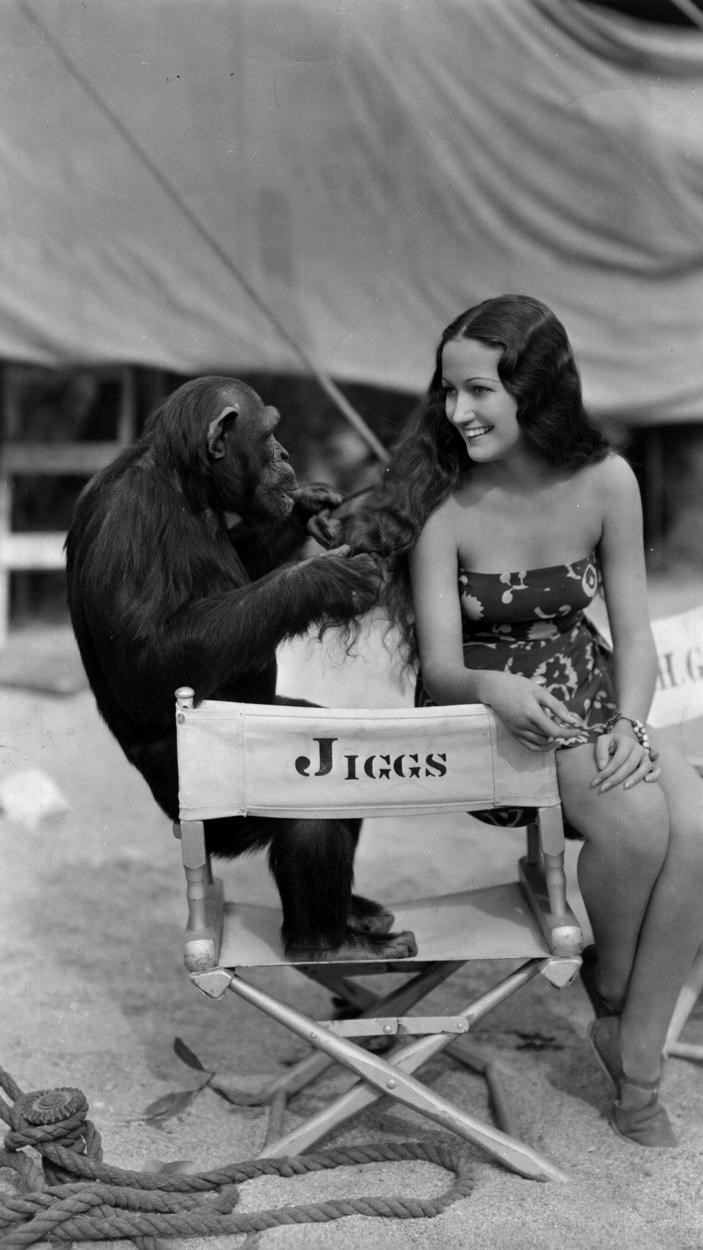 Her Jungle Love (1938) Screenshot 4 