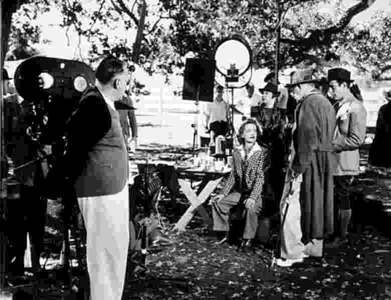 Dark Victory (1939) Screenshot 5