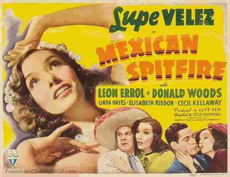 Mexican Spitfire (1940) Screenshot 4