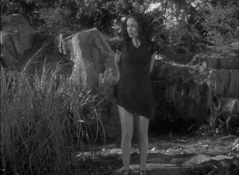 Tarzan Finds a Son! (1939) Screenshot 3