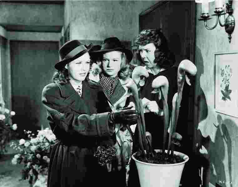 Kitty Foyle (1940) Screenshot 3