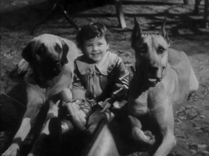 Swiss Family Robinson (1940) Screenshot 3