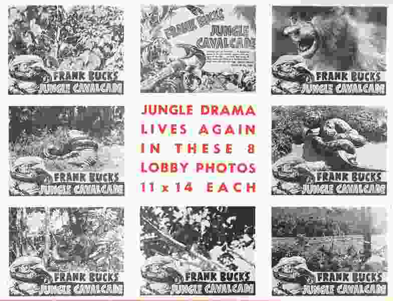 Jungle Cavalcade (1941) Screenshot 5