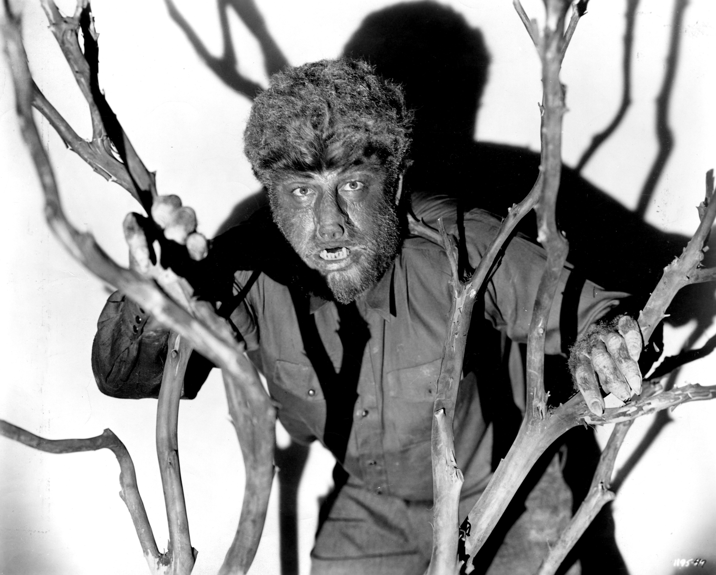 The Wolf Man (1941) Screenshot 2 