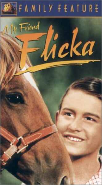 My Friend Flicka (1943) Screenshot 4