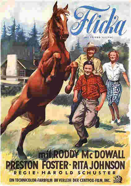 My Friend Flicka (1943) starring Roddy McDowall on DVD on DVD