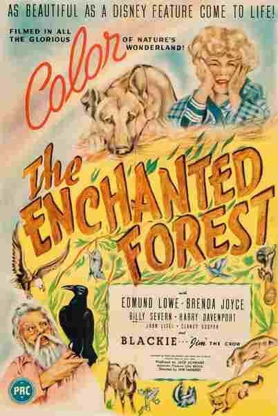 The Enchanted Forest (1945) Screenshot 2