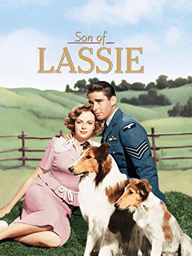 Son of Lassie (1945) Screenshot 1 