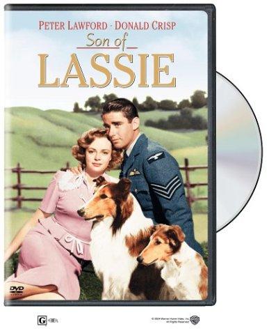 Son of Lassie (1945) Screenshot 2 