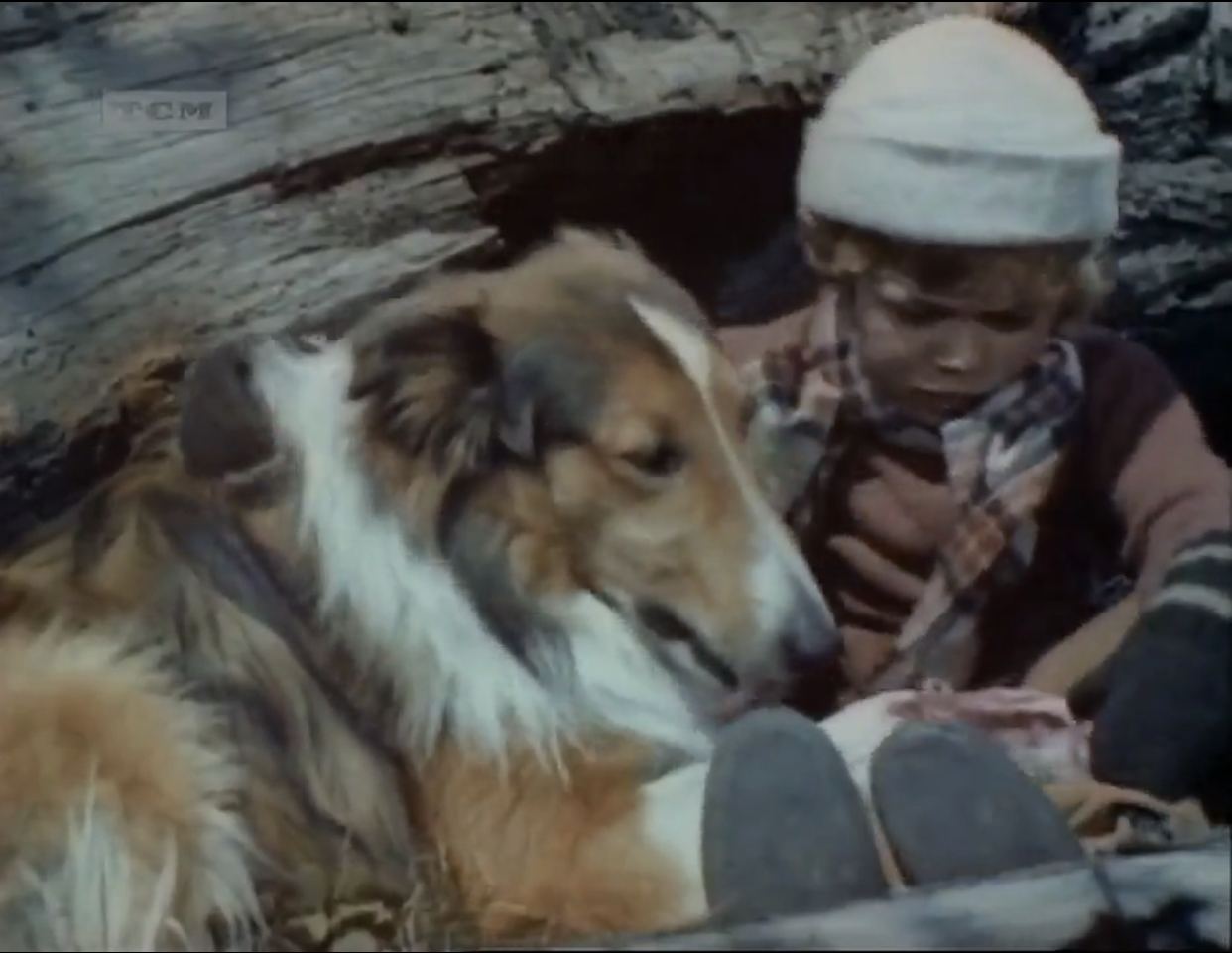 Son of Lassie (1945) Screenshot 3 