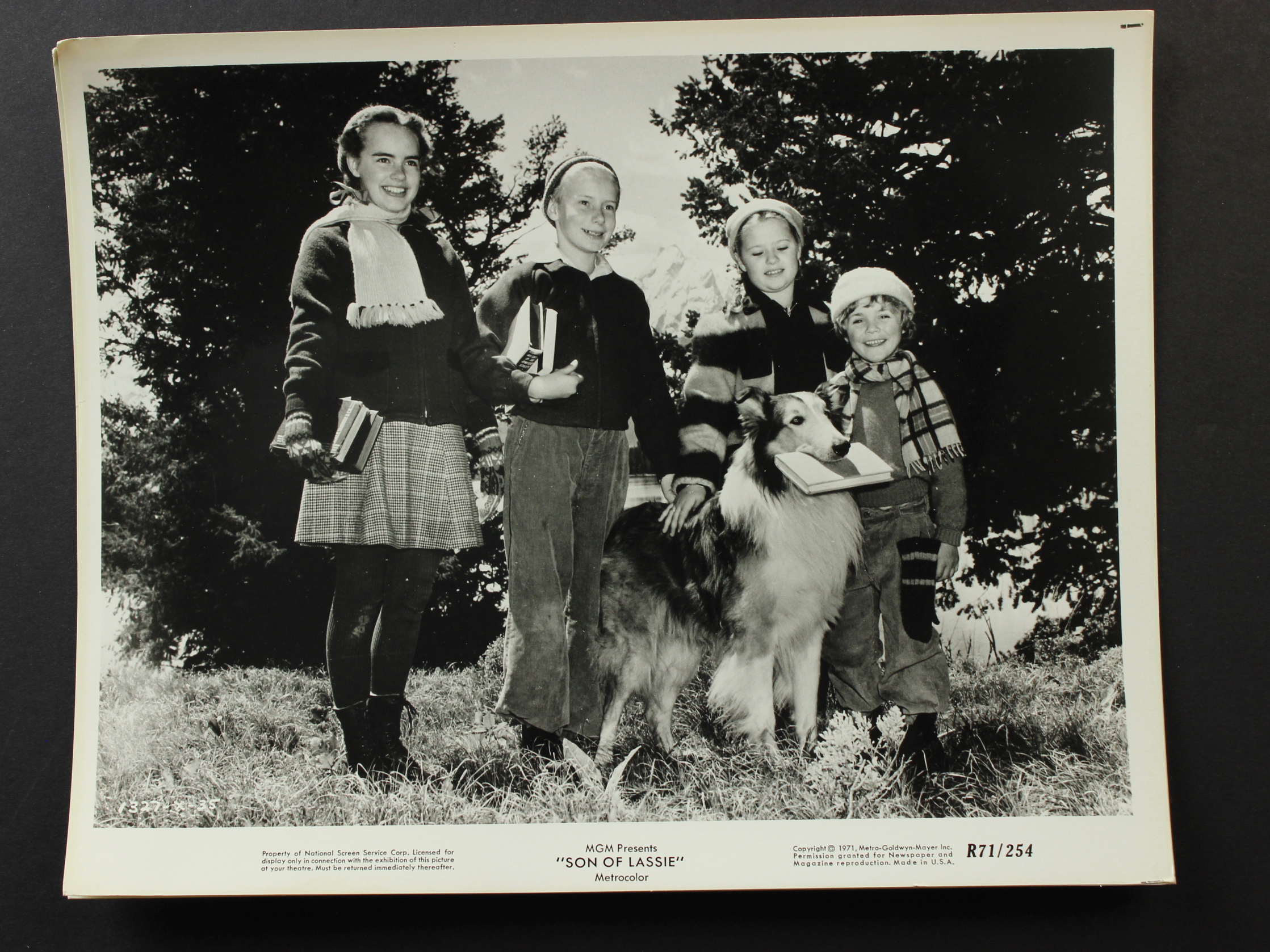 Son of Lassie (1945) Screenshot 5 