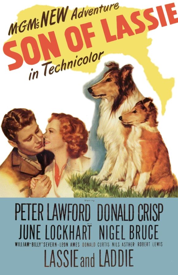 Son of Lassie (1945) with English Subtitles on DVD on DVD