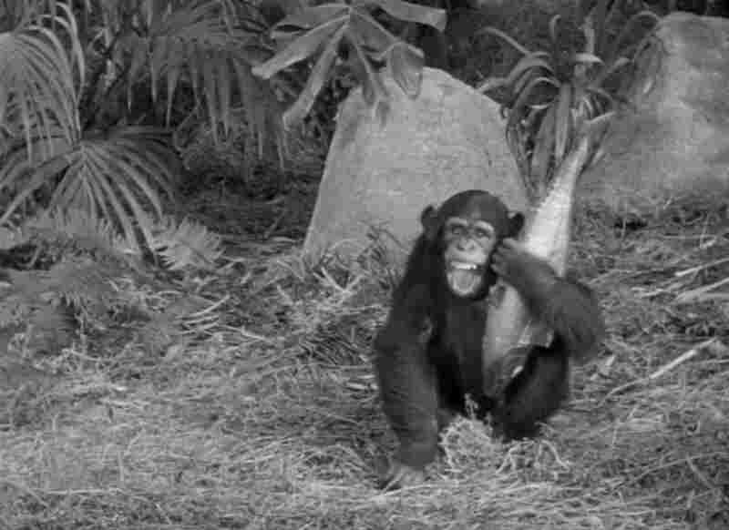 Tarzan and the Amazons (1945) Screenshot 3