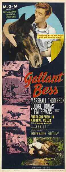 Gallant Bess (1946) Screenshot 4
