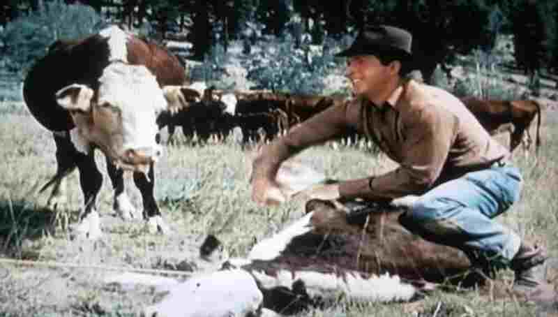 Smoky (1946) Screenshot 4