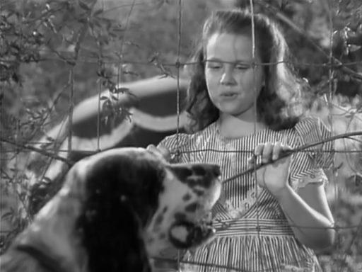 Banjo (1947) Screenshot 4 
