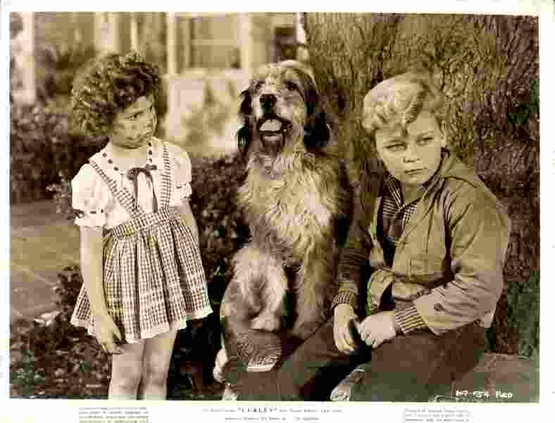 Curley (1947) Screenshot 3