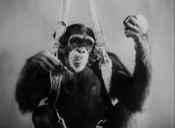 Tarzan and the Huntress (1947) Screenshot 3 